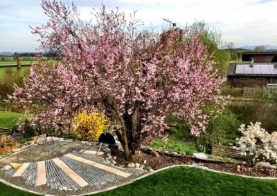 Gartengestaltung, Creativo Garten Berikon