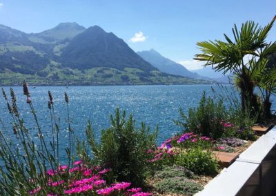 Bepflanzung mit Aussicht